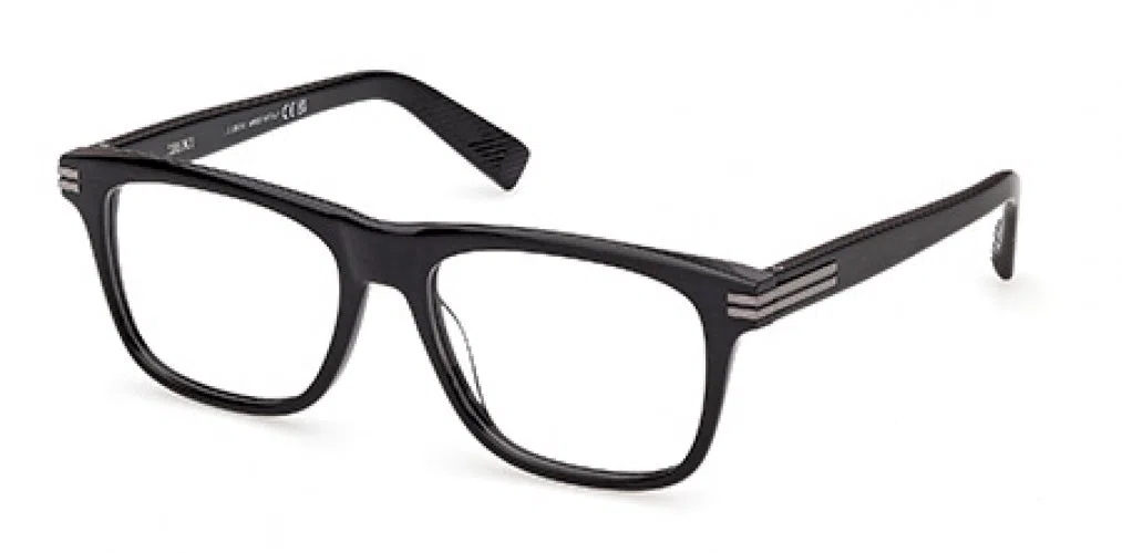 ZEGNA 5342 Eyeglasses